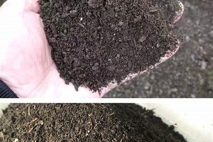 草炭土可以种植彼岸花和昙花吗？