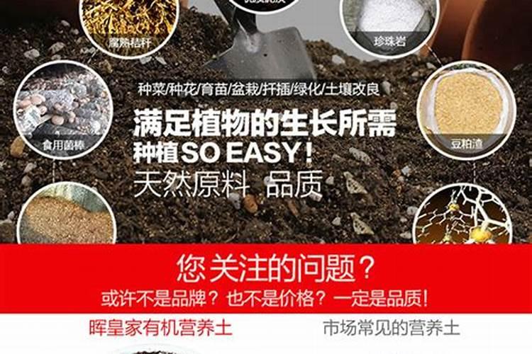 什么是草炭土