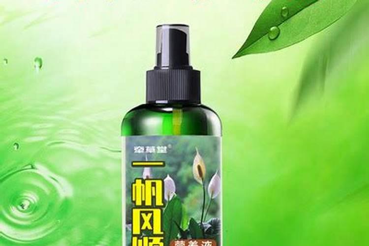 白掌施肥施什么肥料