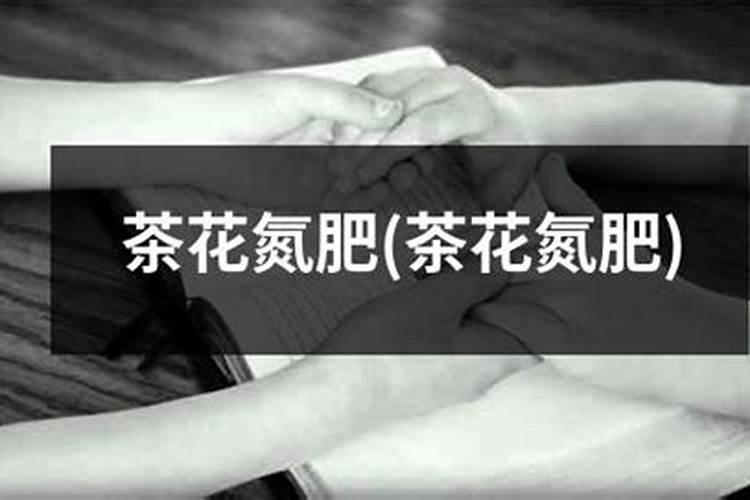 养花的氮肥有哪些