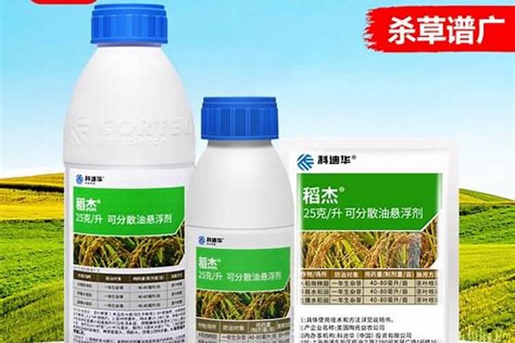 玉米适合用什么肥料、玉米追肥的正确方法