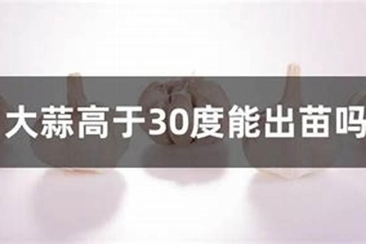 打玉米苗后除草剂的最佳温度22度高温能打吗白天？