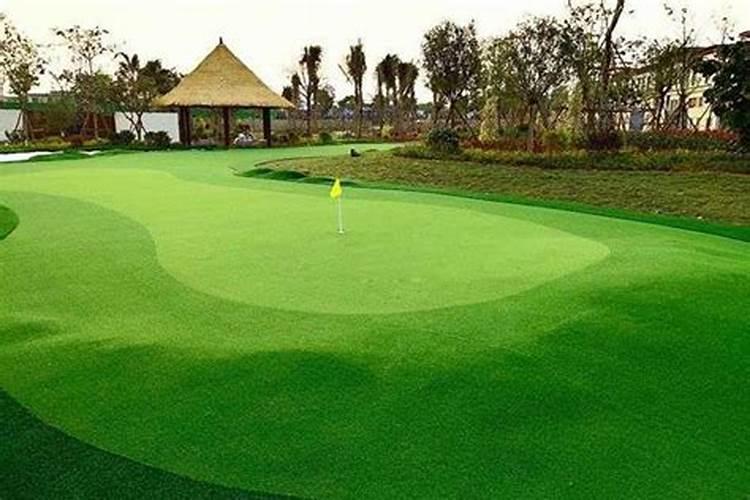 草坪专用肥洒上几天可以撒种子