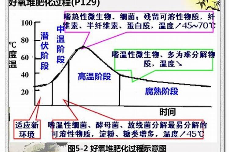 氮肥自己怎么制作