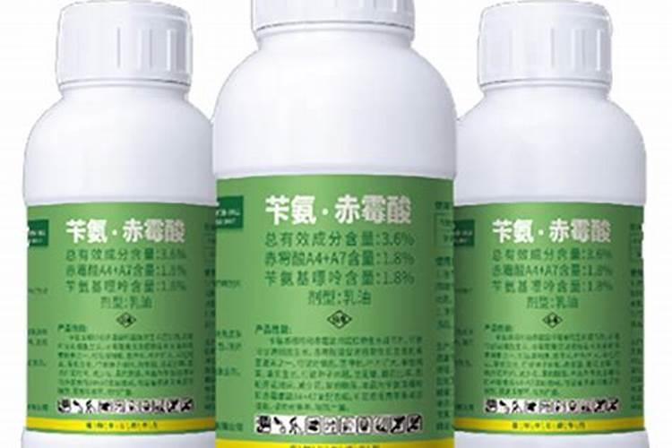 西瓜施肥用什么肥料