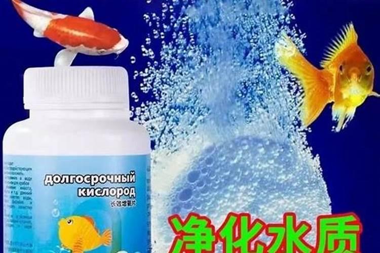 鱼池水质发黑缺氧怎么解决