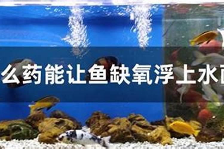 鱼塘里可以撒化肥喂鱼吗？撒什么化肥？计量是多少？？