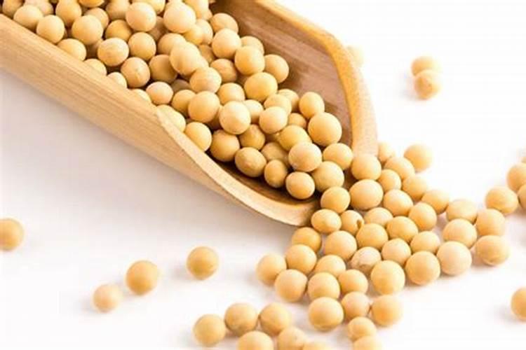 泡黄豆水能直接浇花吗,黄豆水浇花正确方法