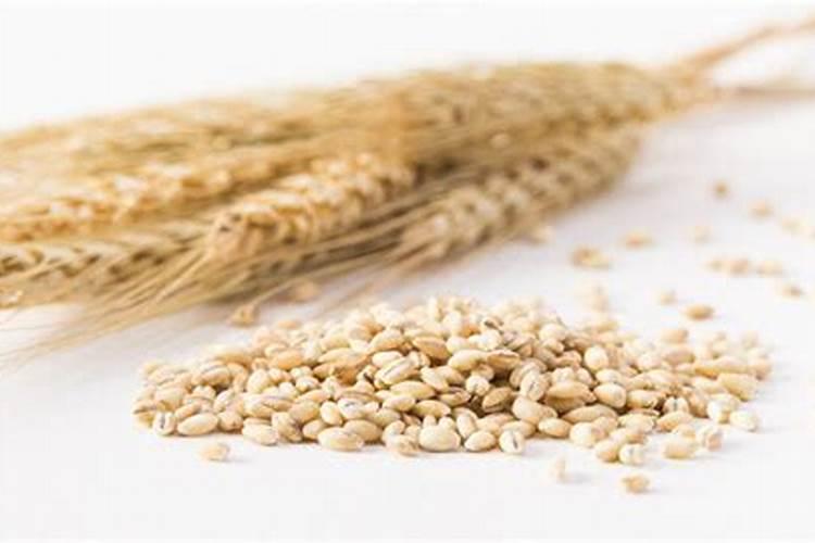 小麦最忌三种肥料