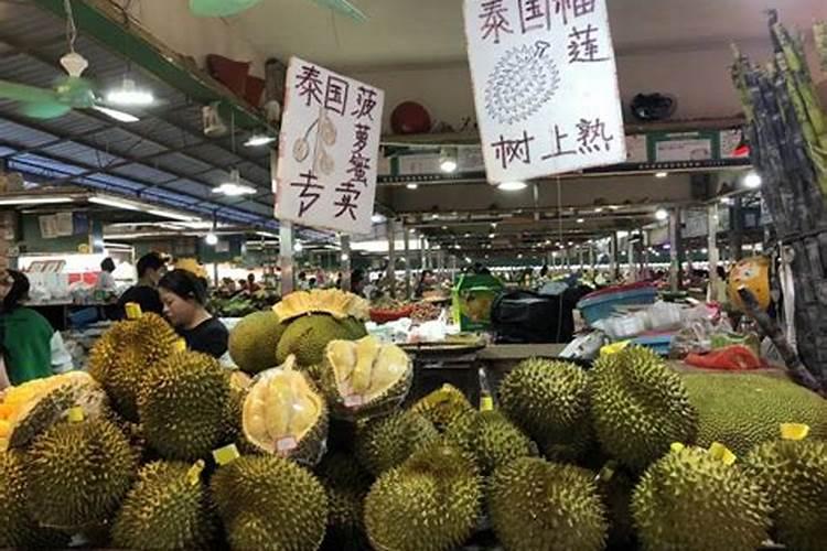脐橙有哪些专用肥 如何进行施肥