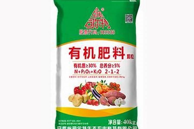 司尔特是什么