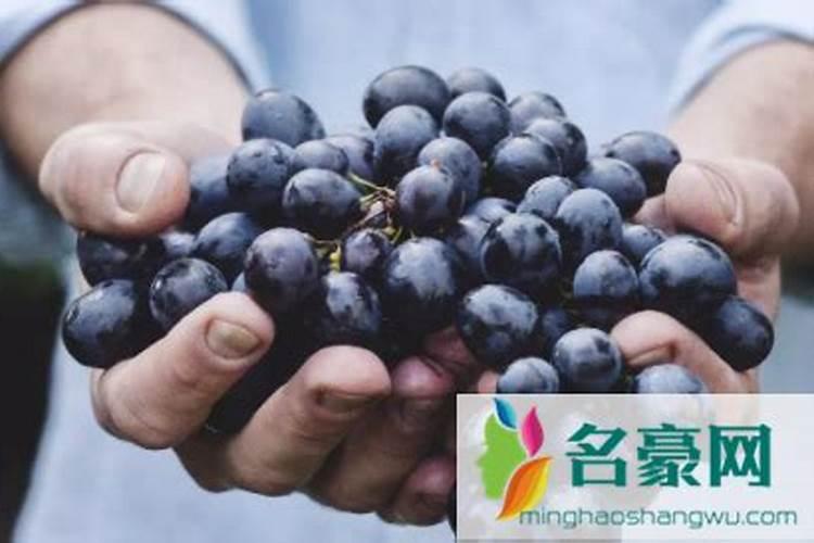 果皮发酵属于什么肥