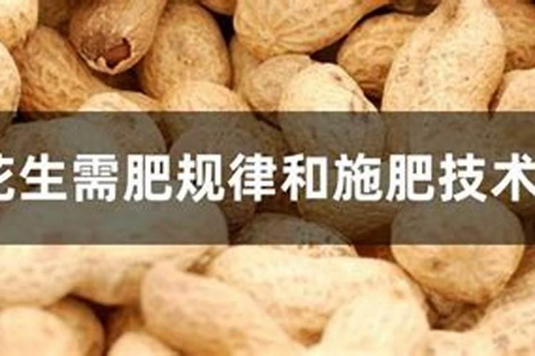 花生的需肥规律及施肥技巧