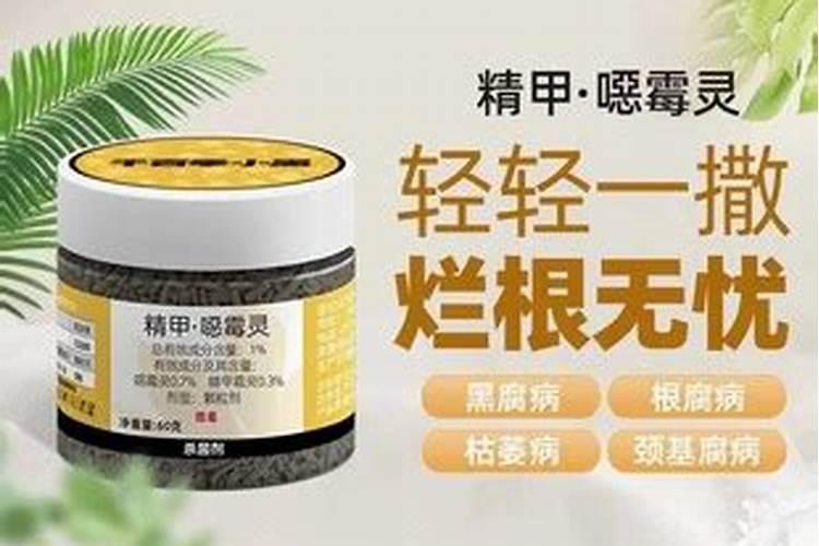 对于千百季的花卉肥料,效果如何‏？施肥是个技术活。