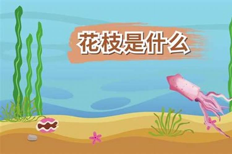 铁线莲怎样才能多开花