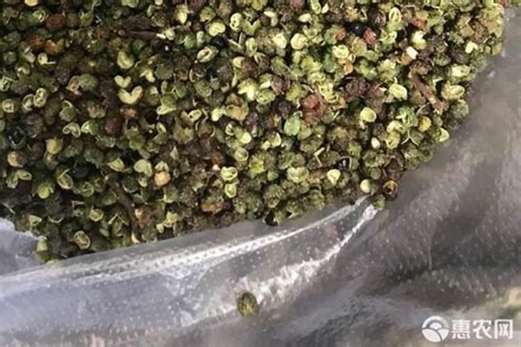 花椒叶面肥多久打好