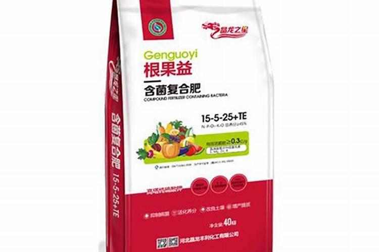 豆角种植怎样才能高产