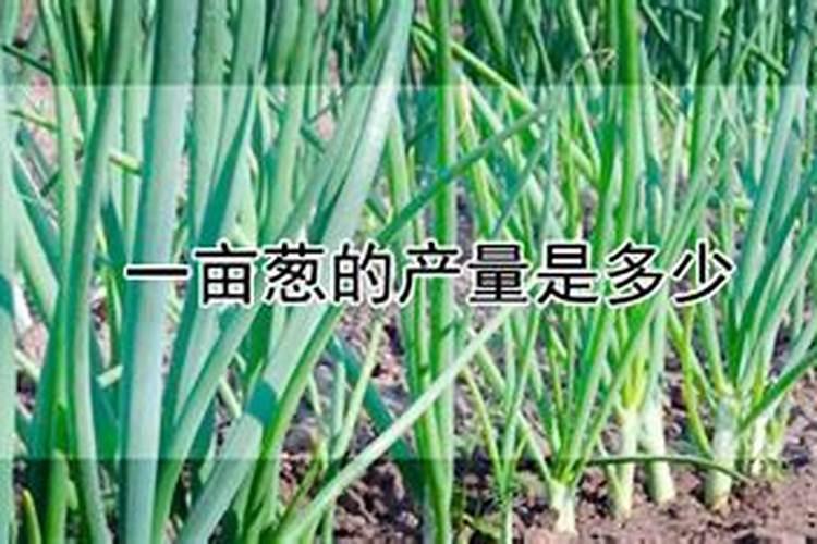 水溶肥的配方和制作方法