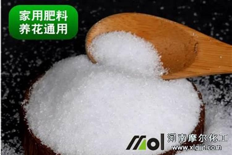 冬天需要不需要给花喷点叶面肥