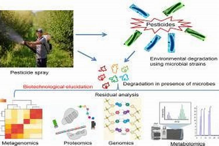 农用有机硅的作用是什么