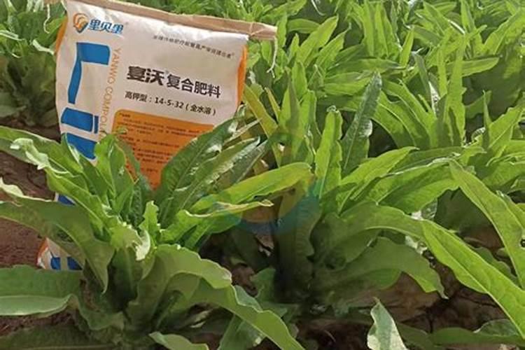 使用大量元素水溶肥有什么好处？