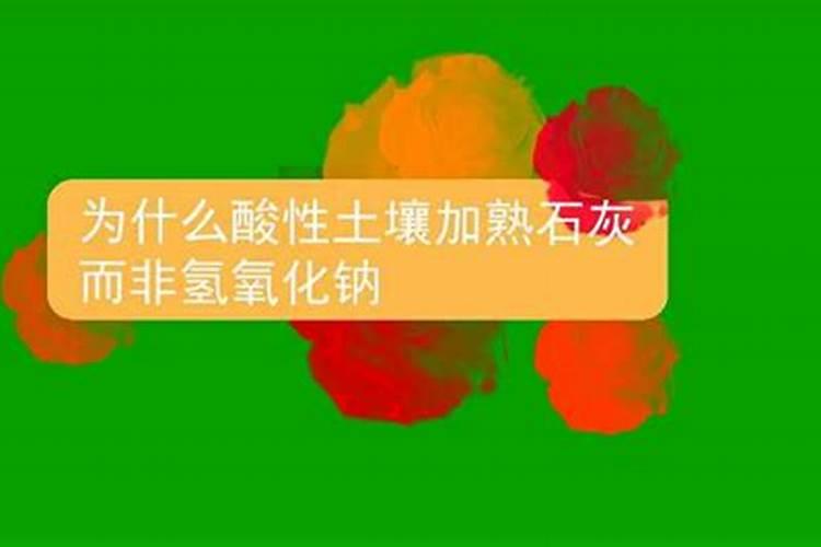 哪种钾肥最好(市面上常见都最好的钾肥是什么钾肥)