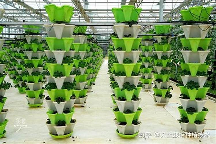 有机生态无土栽培种植蔬菜选用什么牌子的复合肥比较好？