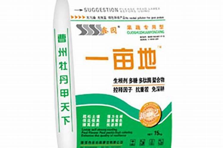 山东特色产业镇有哪些