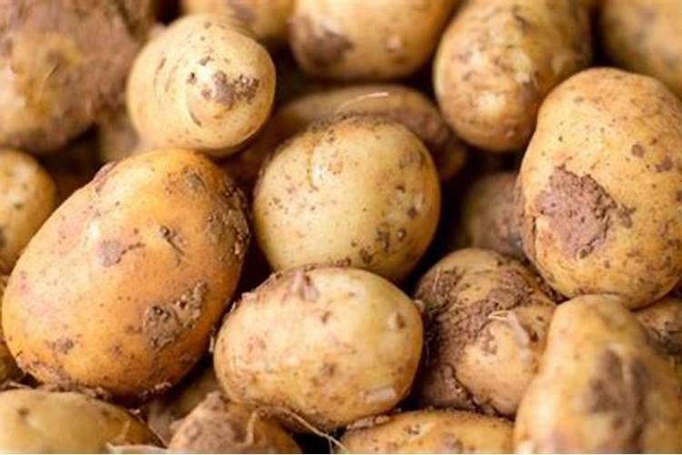 土豆追肥用什么肥料