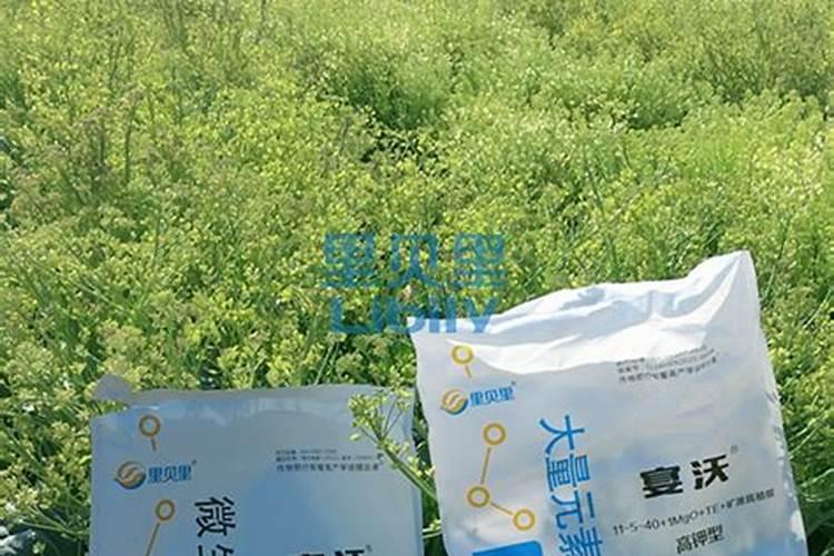 西瓜水溶肥起名字叫什么好听