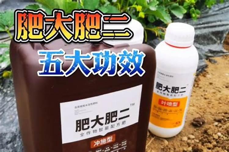 根外施肥的好处 呵护植物