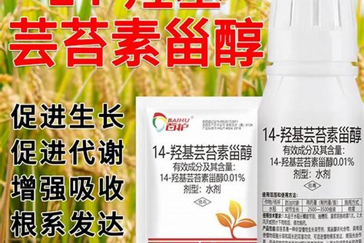 正品云乐收是几小包
