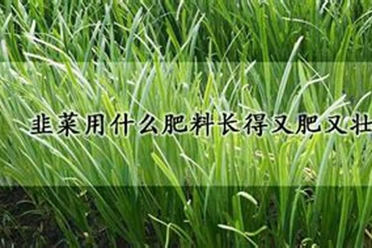 为什么植物叶需要氮肥,果需要磷肥,枝干强壮需要钾肥呢？