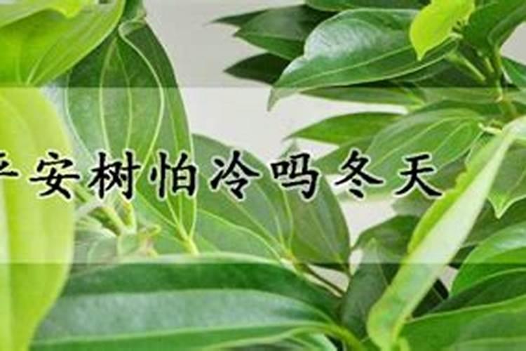 怎样给大蒜追施肥料