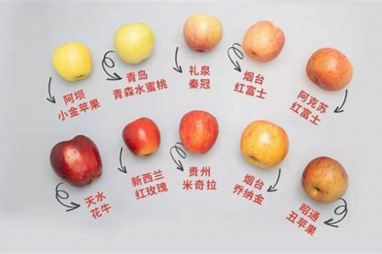 硝酸钙在苹果生产上的作用