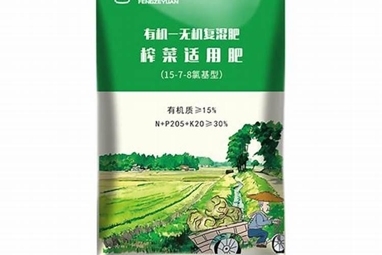 榨菜怎么种植 榨菜的种植方法