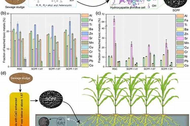 自制磷肥有哪些