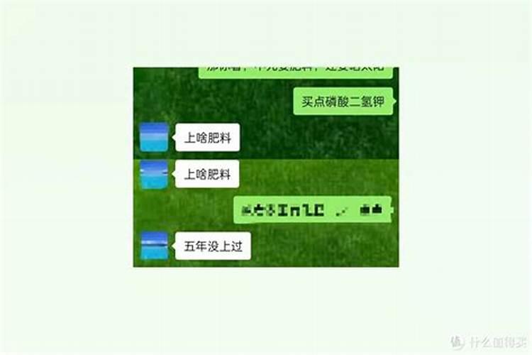 铁兰什么季节施肥最好 施肥多少合适