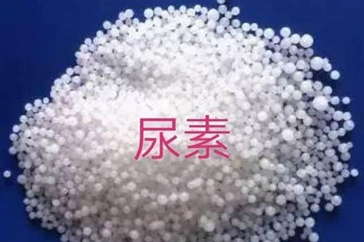 哪些肥料是氮肥