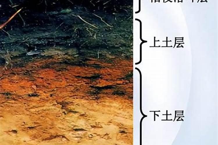 如何把碱性土壤改良成为酸性土壤