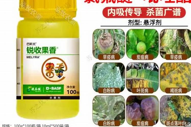 西瓜的病毒病目前市场上那个杀菌剂效果好一些