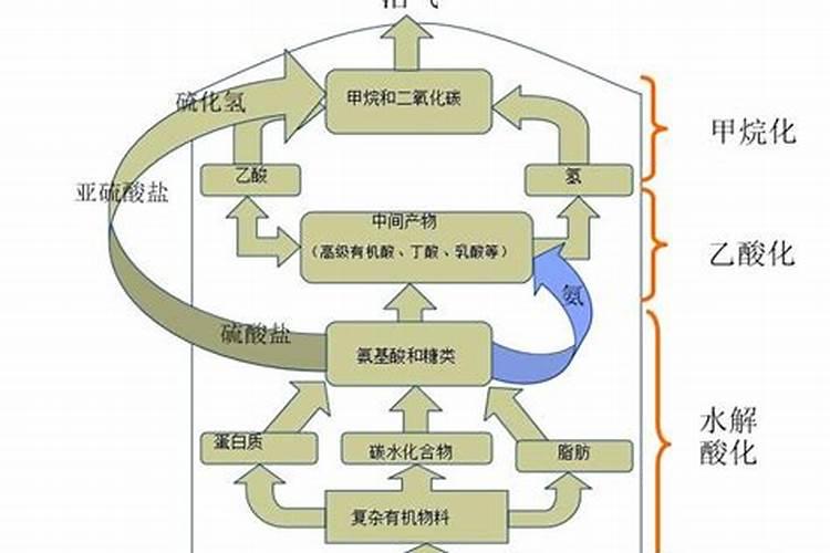 发酵鱼蛋白为什么发臭了