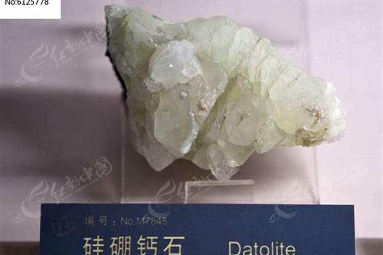 硅肥是第四大元素肥吗