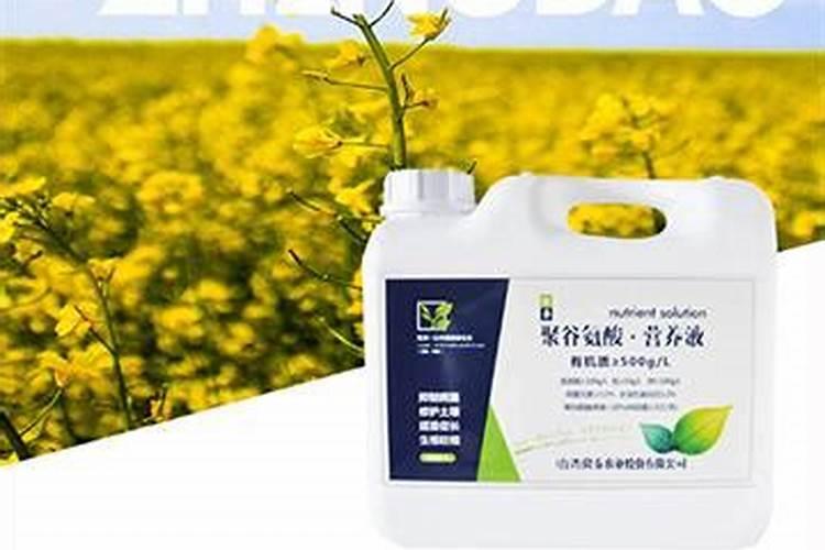 南天竹杯苗用什么水溶肥好