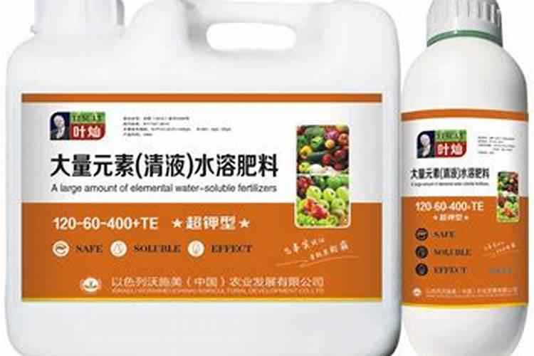 水葫芦怎么养能开花