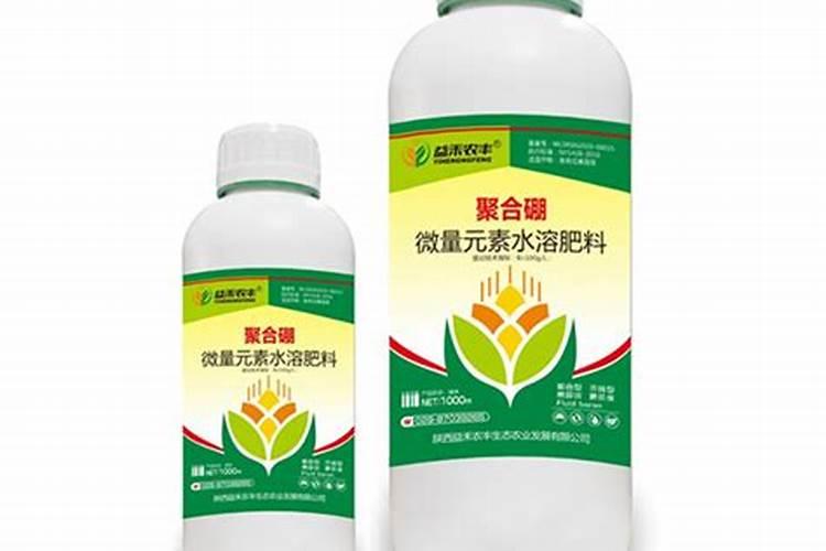 花树什么时候施肥最好