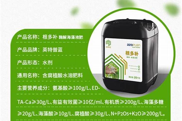 金桔什么时候施肥