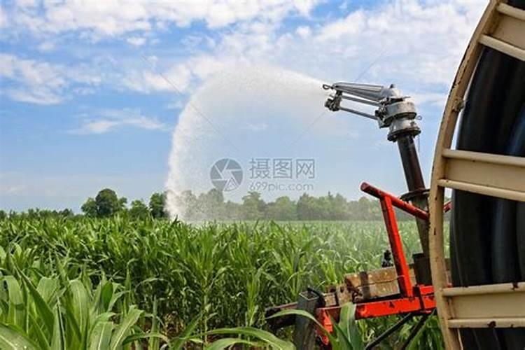 玉米在什么时期追钾肥