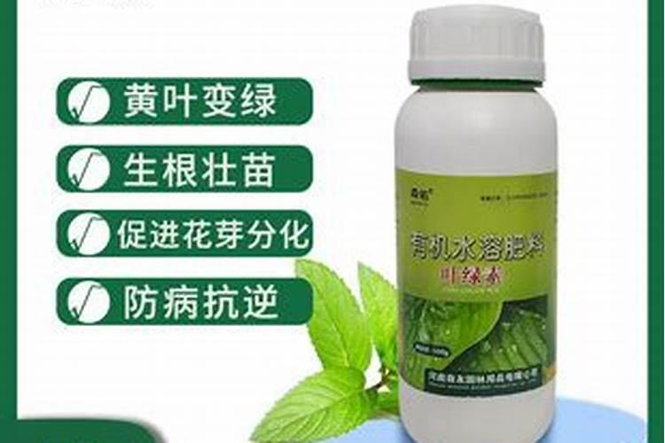 叶绿素叶面肥喷在秧田里能用几次吗？