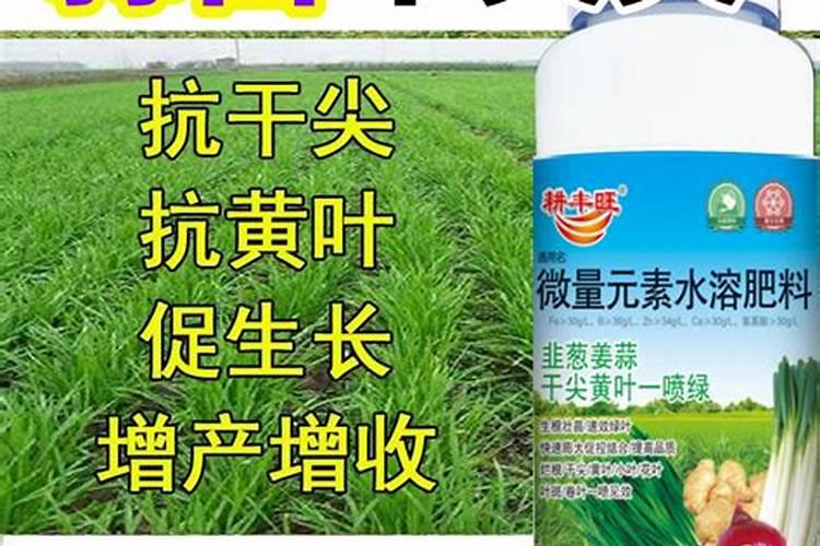 蒜苗适合用什么叶面肥